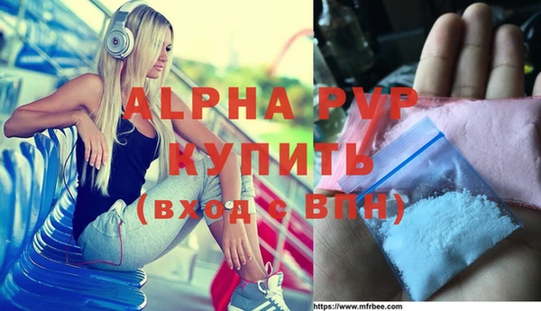 стаф Коряжма