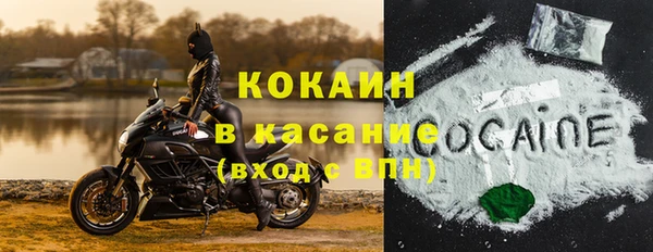 стаф Коряжма