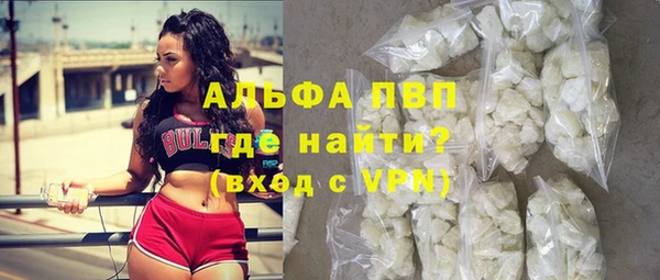 стаф Коряжма