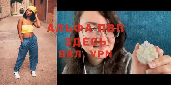 стаф Коряжма
